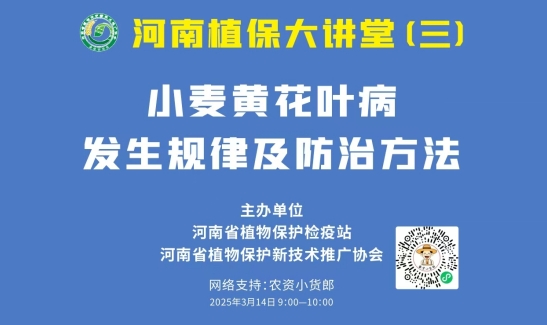 河南省植物保护检疫站组织小麦黄花叶病防控技术线上培训