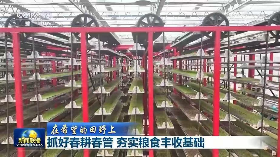 多领域齐头并进促发展 中国经济活力涌动开新局