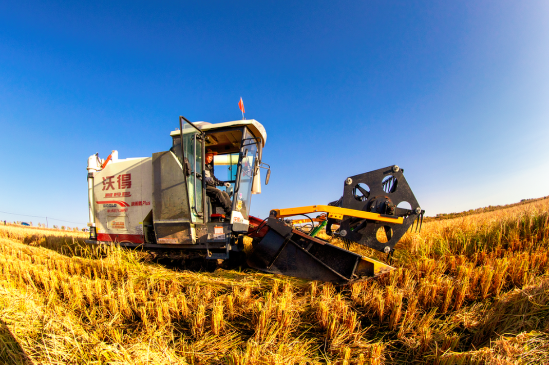 New policy to ensure food quality and safety
