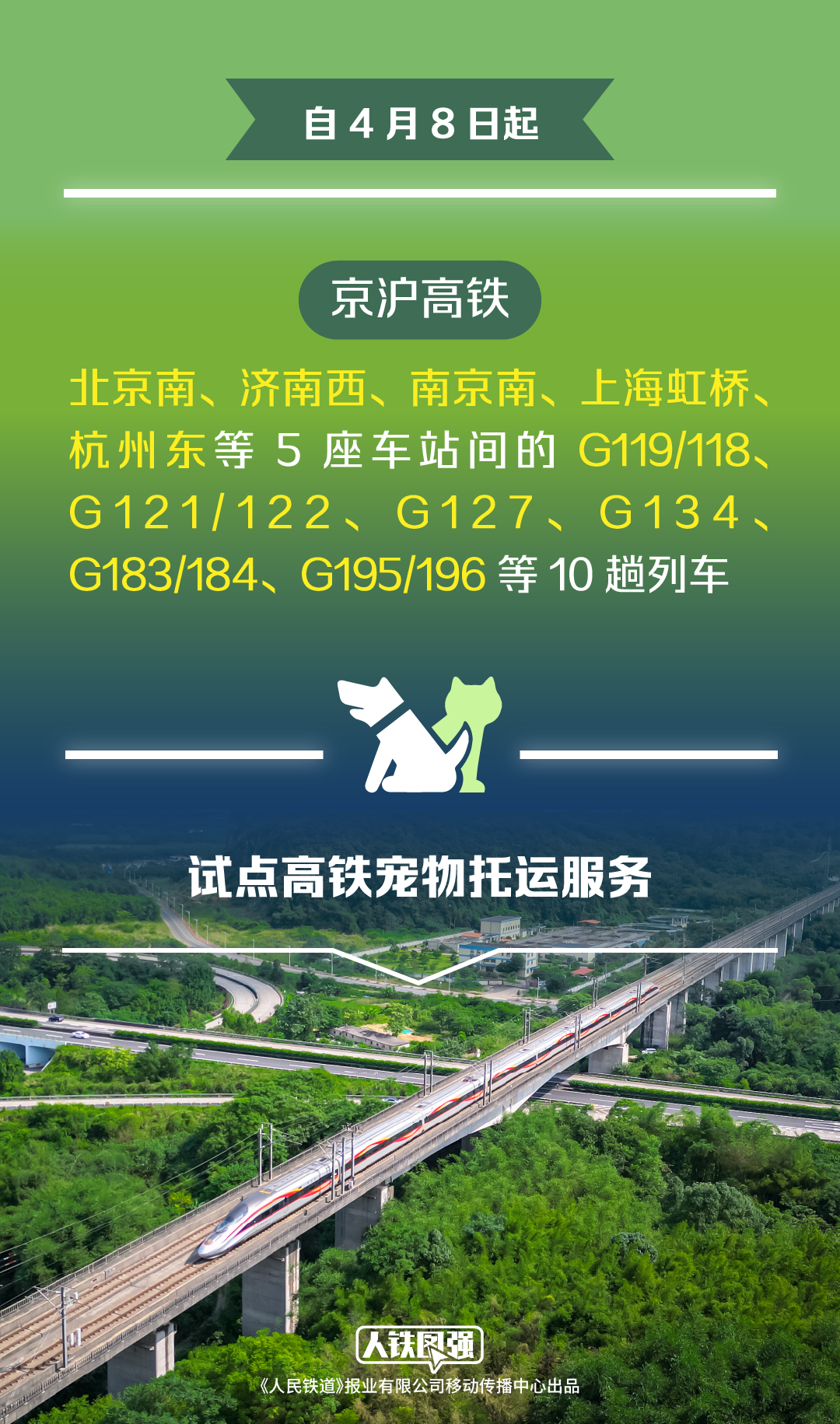 4月8日起铁路部门试点高铁宠物托运服务 铁路12306同步推出“宠物托运”功能