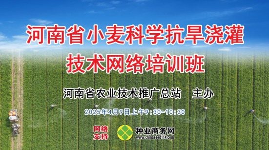 省农技总站举办小麦科学抗旱浇灌技术网络培训班