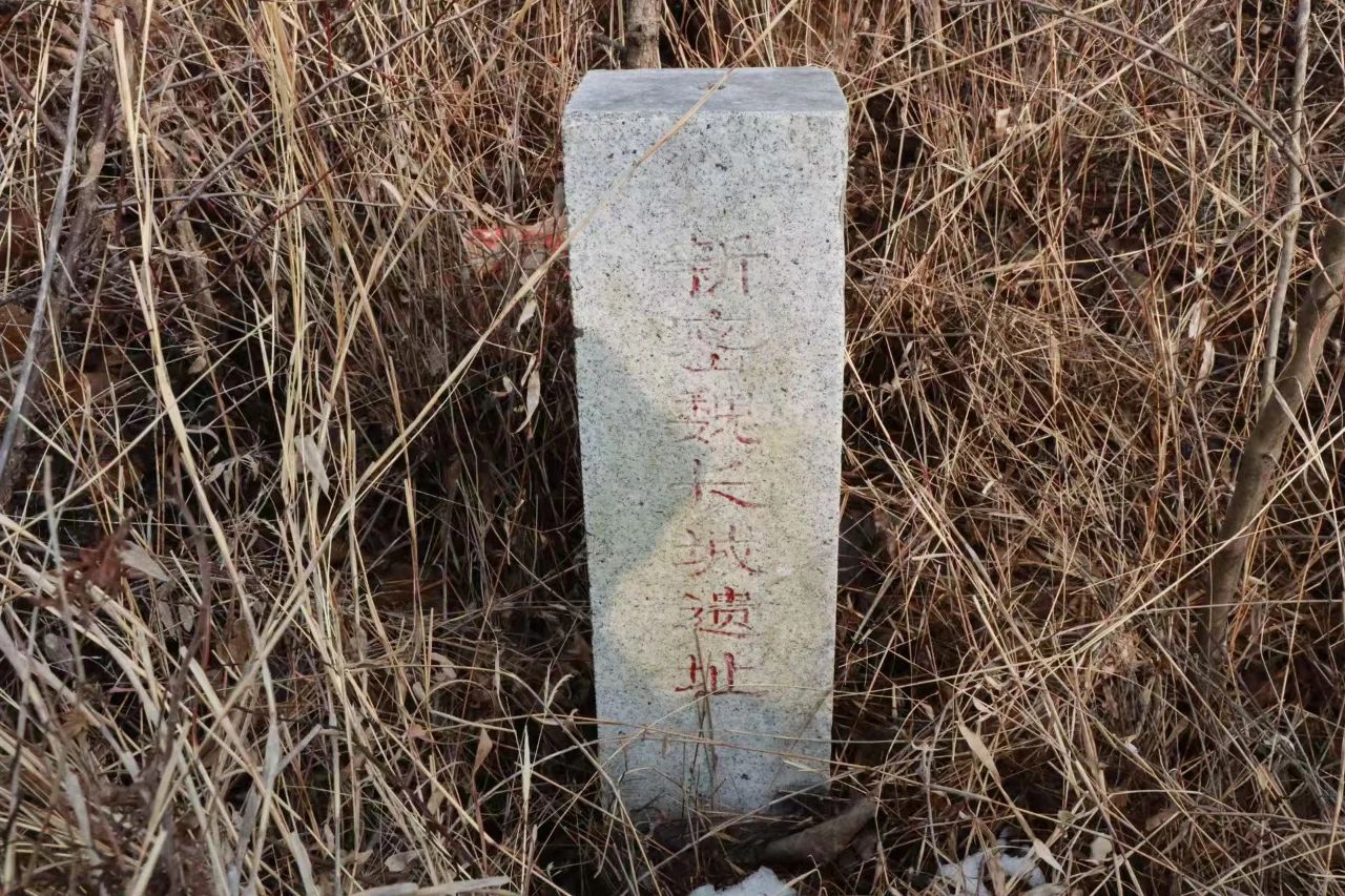 36211180778183016