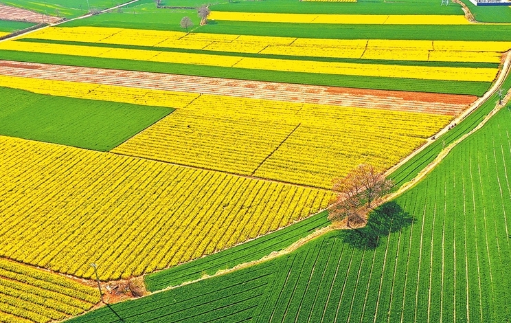 Picturesque rural landscape in Mengzhou