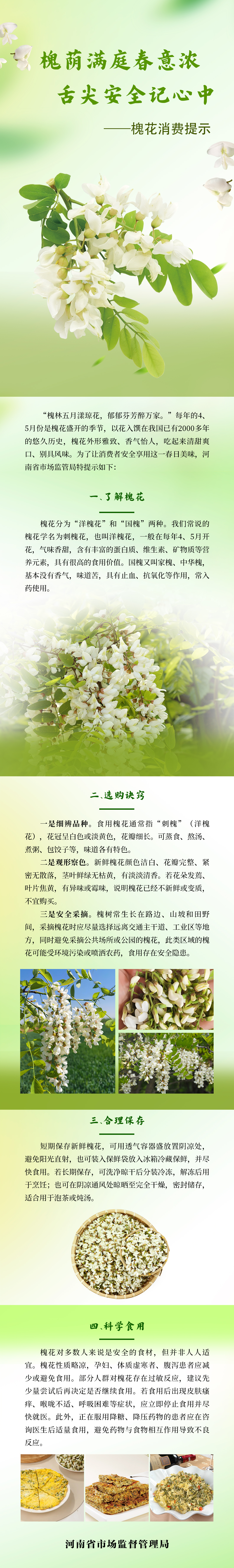 槐荫满庭春意浓，舌尖安全记心中 ——槐花消费提示
