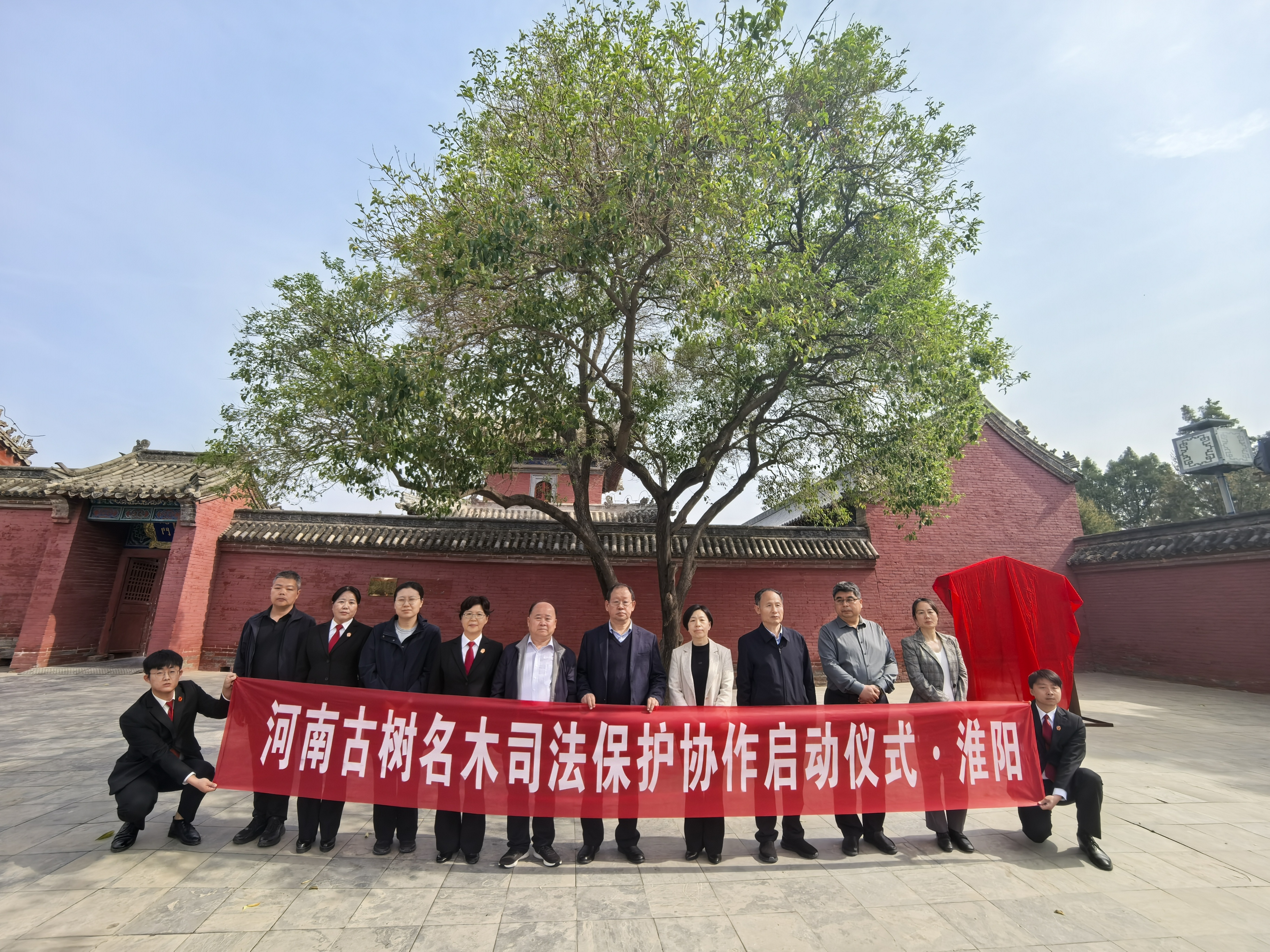 给三个千年古树群戴上“金钟罩”，河南启动古树名木司法保护协作行动