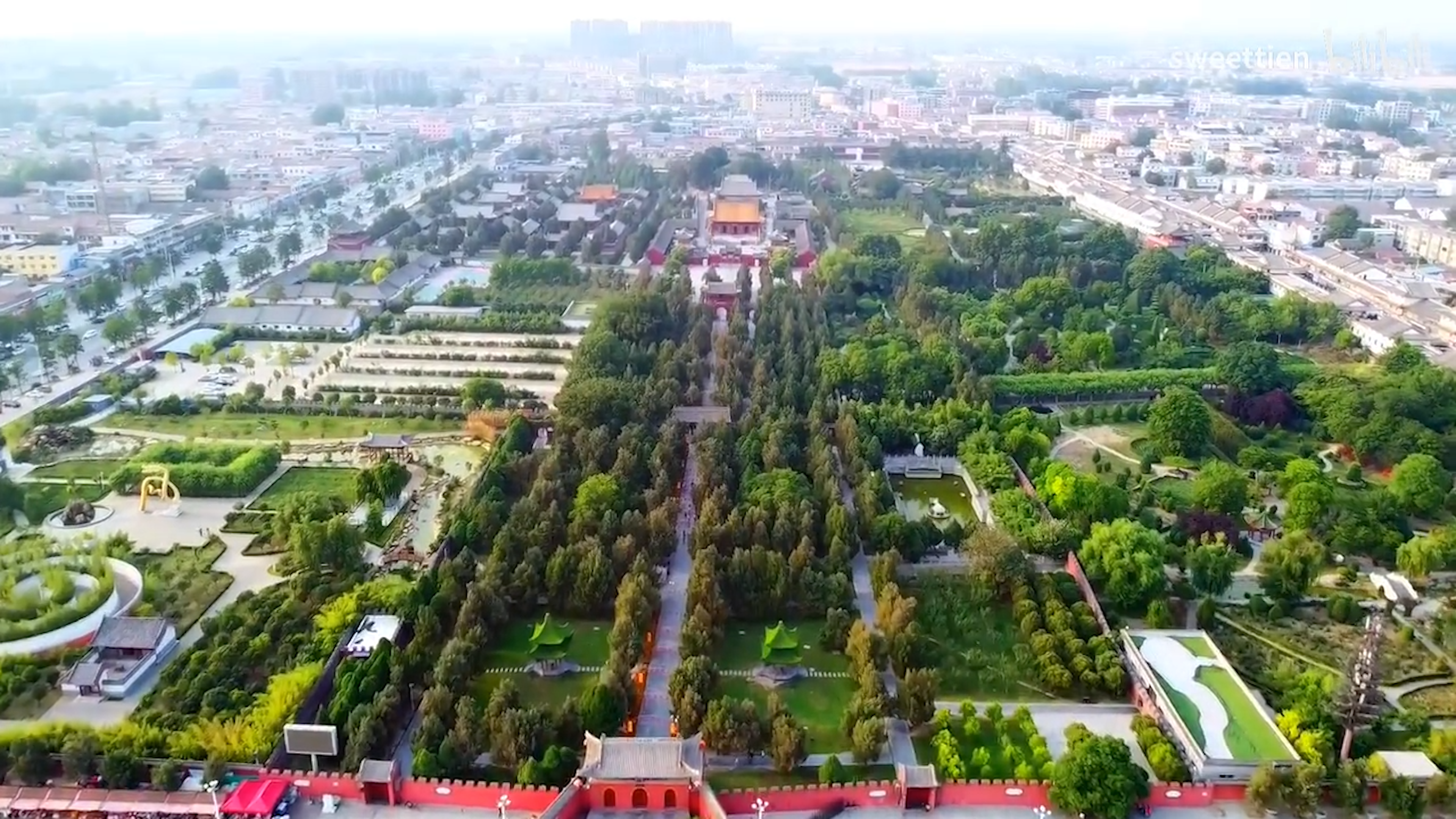 给三个千年古树群戴上“金钟罩”，河南启动古树名木司法保护协作行动