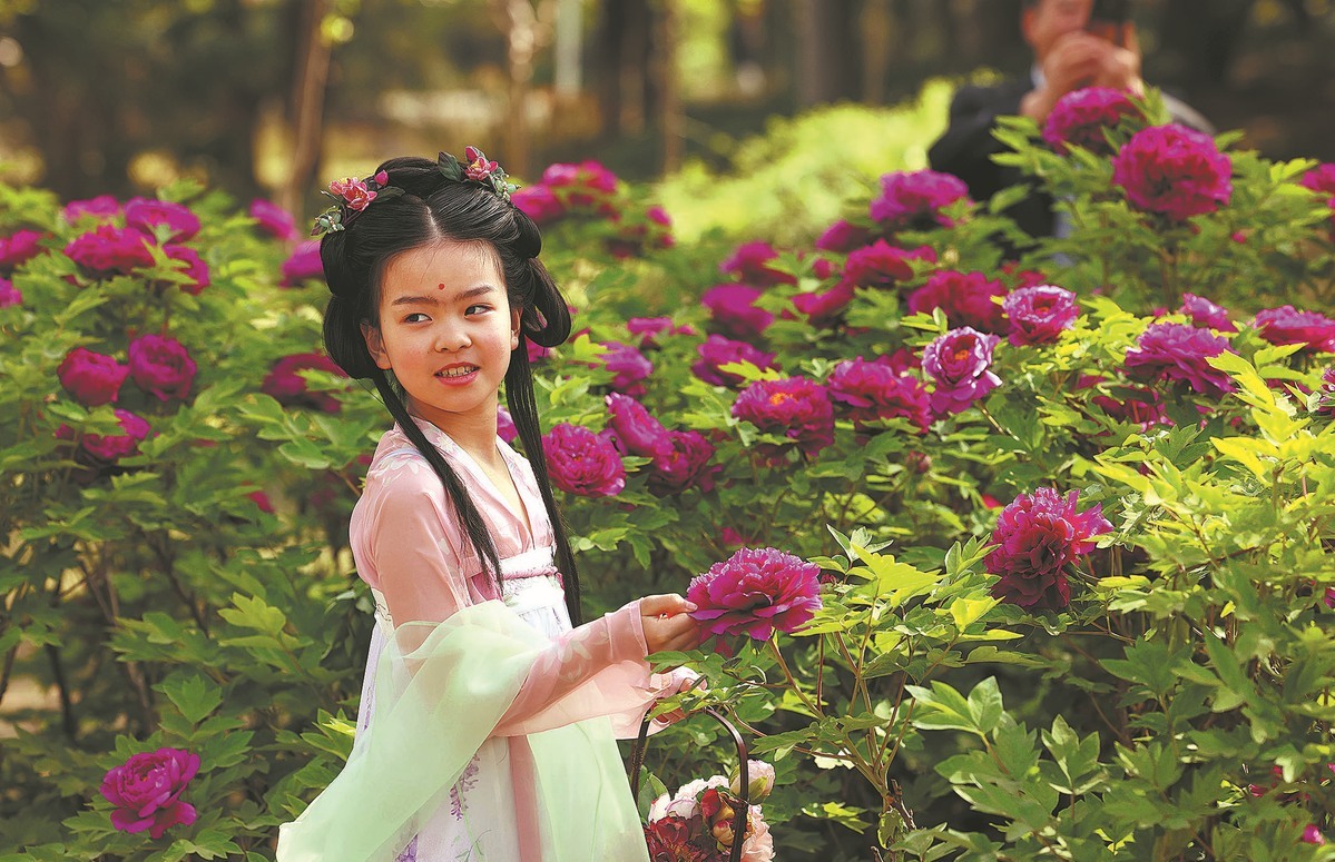 Henan's peonies bring out poetry in nation's culture