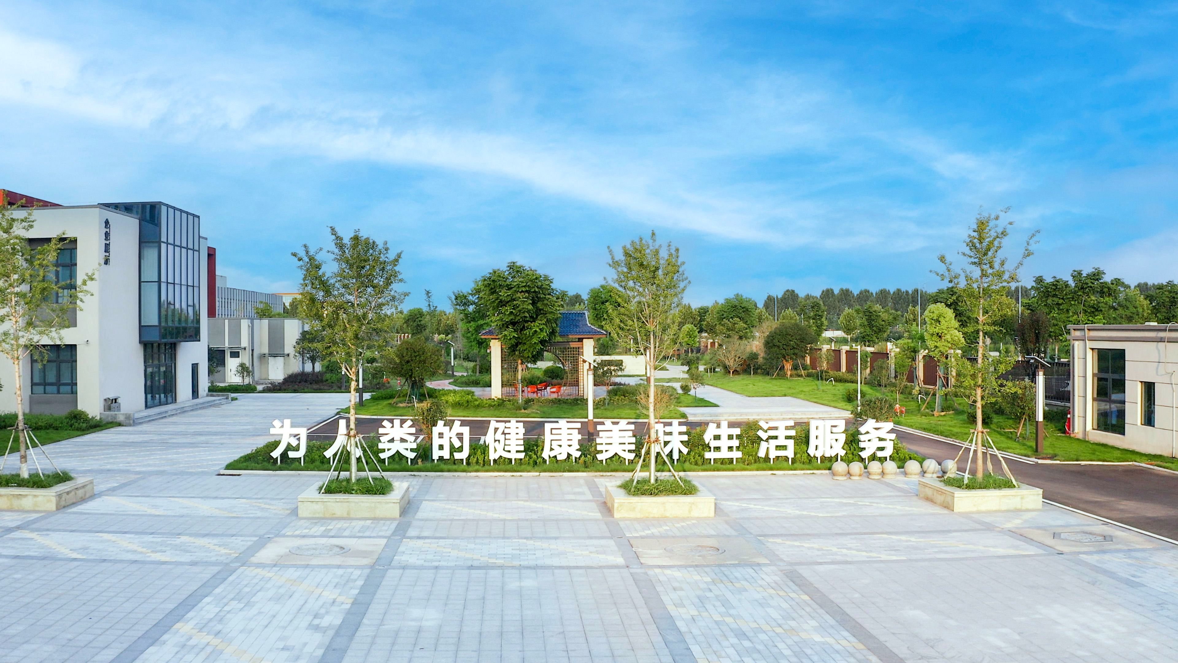 服务供给开新篇⑫｜给生活加点“滋味”！国货品牌跑出焕新“加速度”