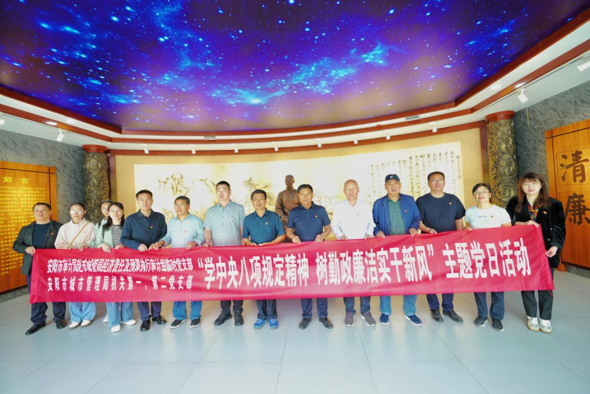 安阳市审计局外出审计组开展“学中央八项规定精神 树勤政廉洁实干新风” 主题党日活动