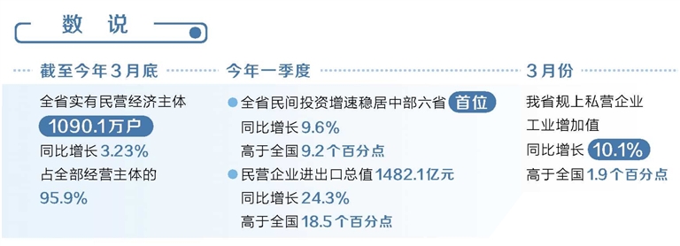 实招硬招护航民营经济破浪前行