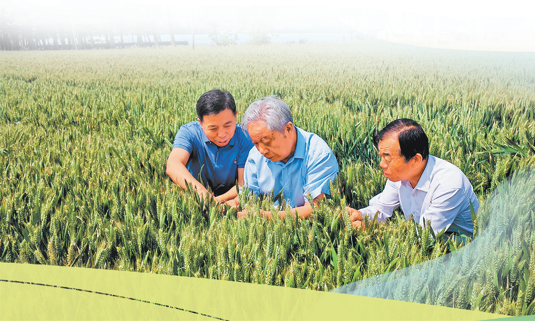 抗旱保麦战 河南这么打