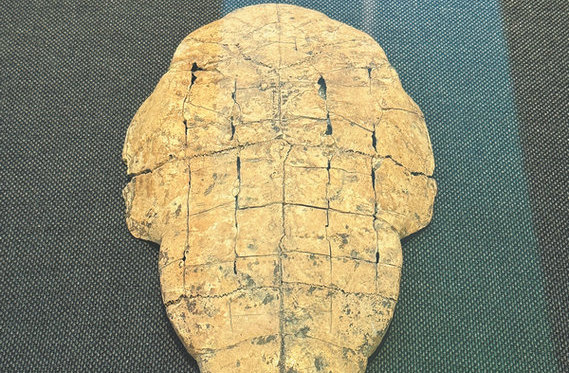Race on to decipher oracle bone characters with AI