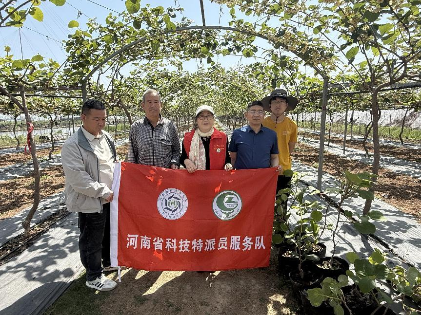 五月农忙季，我省科技特派员田间“问诊开方”