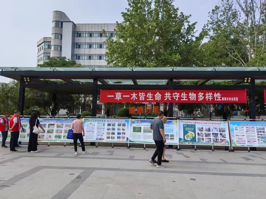 舞钢市林业局开展“国际生物多样性日”主题宣传活动