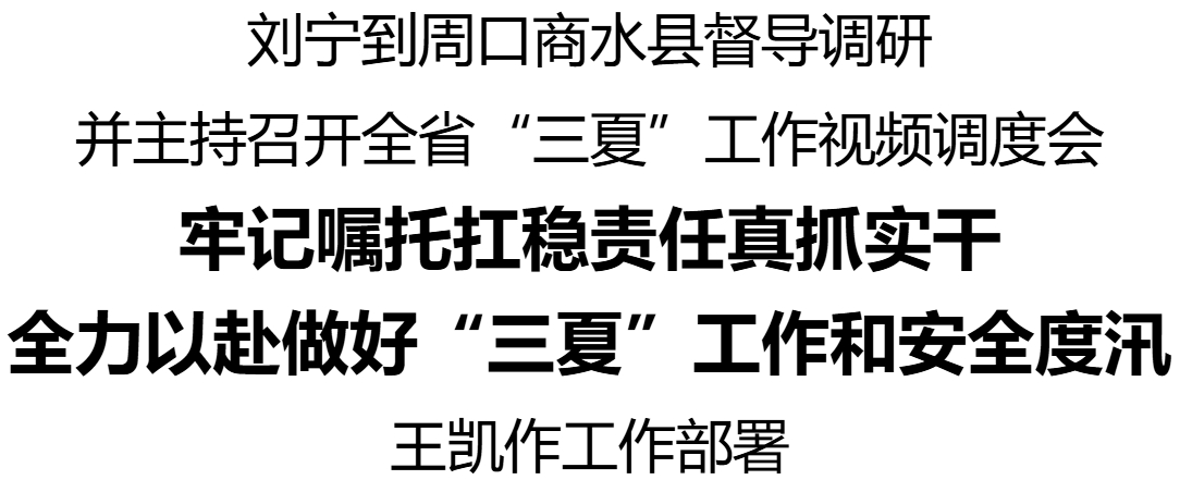 刘宁到周口商水县督导调研并主持召开全省“三夏”工作视频调度会