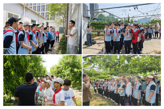 探秘水果王国的奥秘——郑果所举办第七届农科开放日