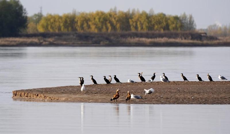 Yellow River Basin reduces soil erosion by 18,400 km² over 5 years