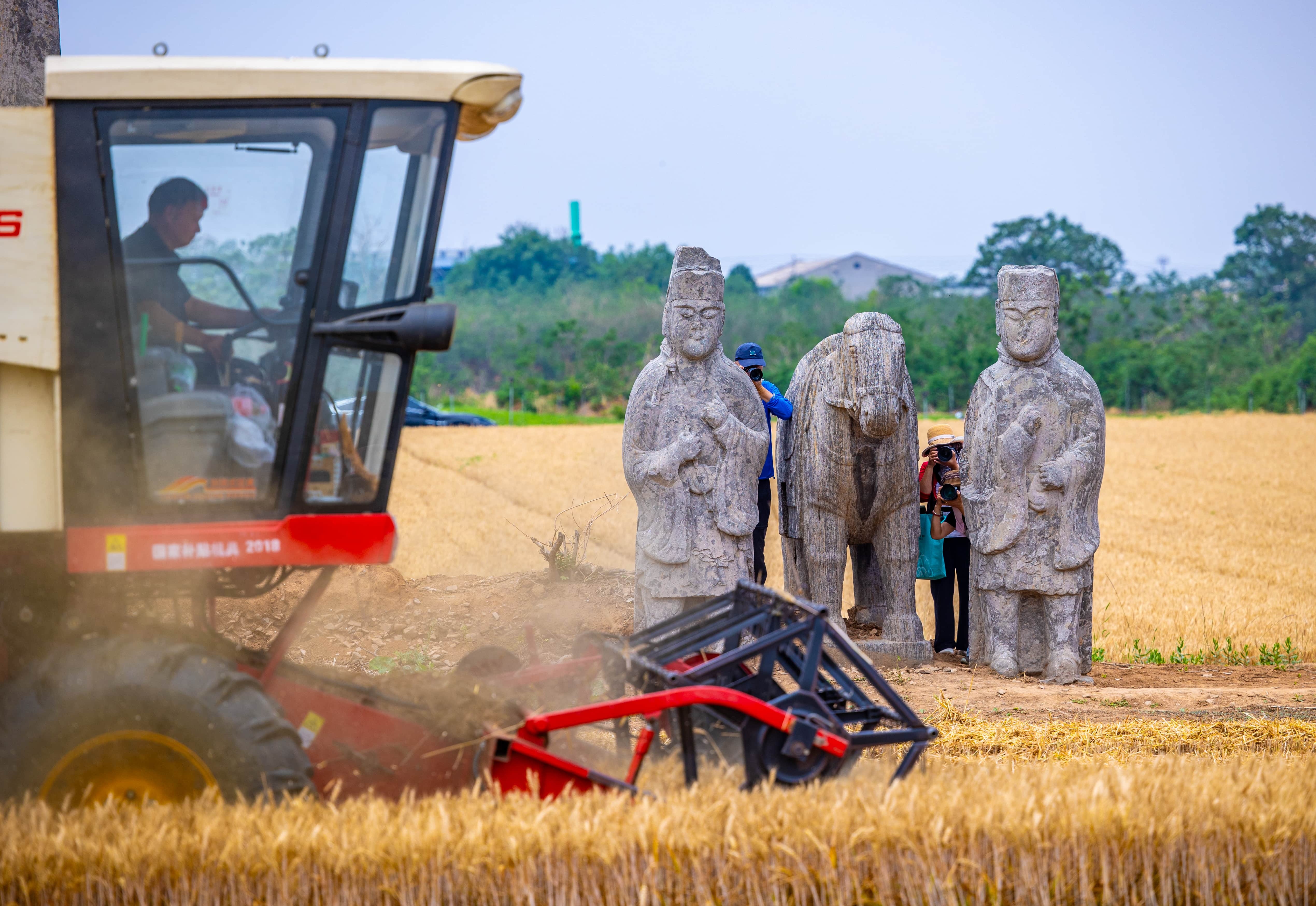 Waves of wheat and echoes of history