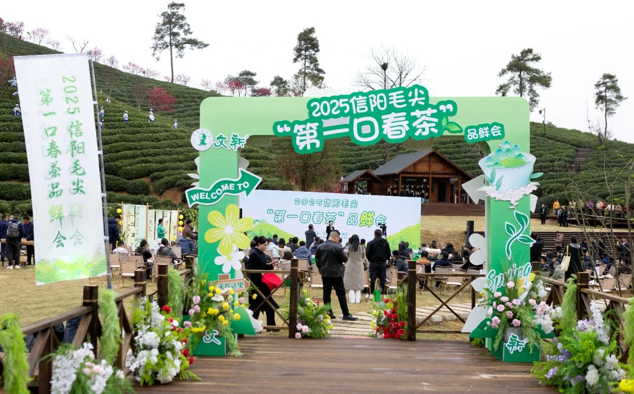 豫见品牌力量⑤｜“融”“创”并进玩法多，河南文旅频出圈