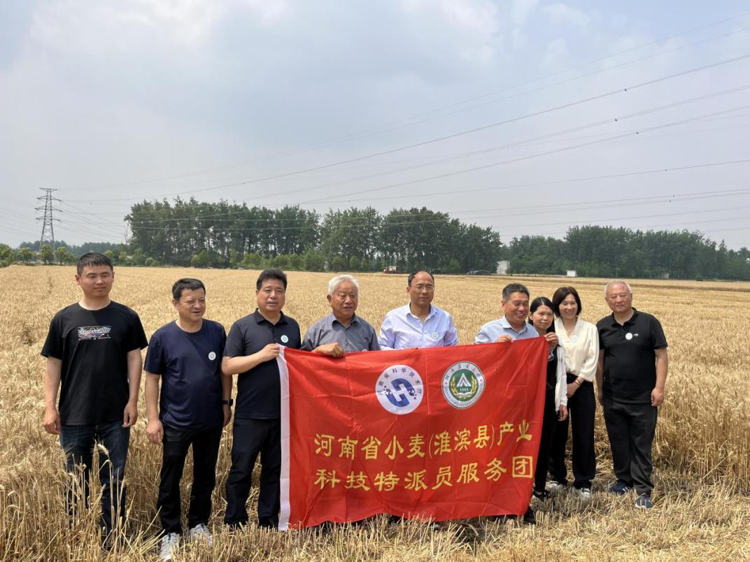 中原沃野绘丰景  河南省科技特派员服务团“三夏”忙