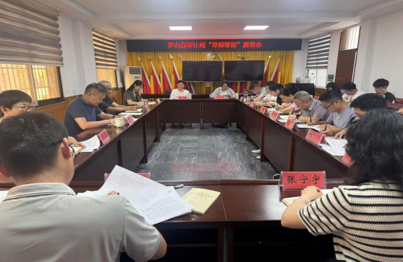 罗山县审计局召开“导师带徒”季度工作座谈会