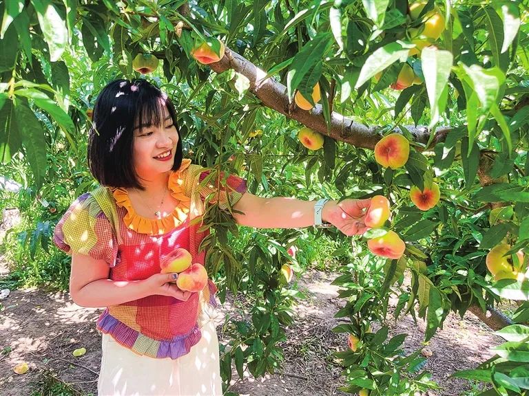 一颗桃子 甜了一个村子