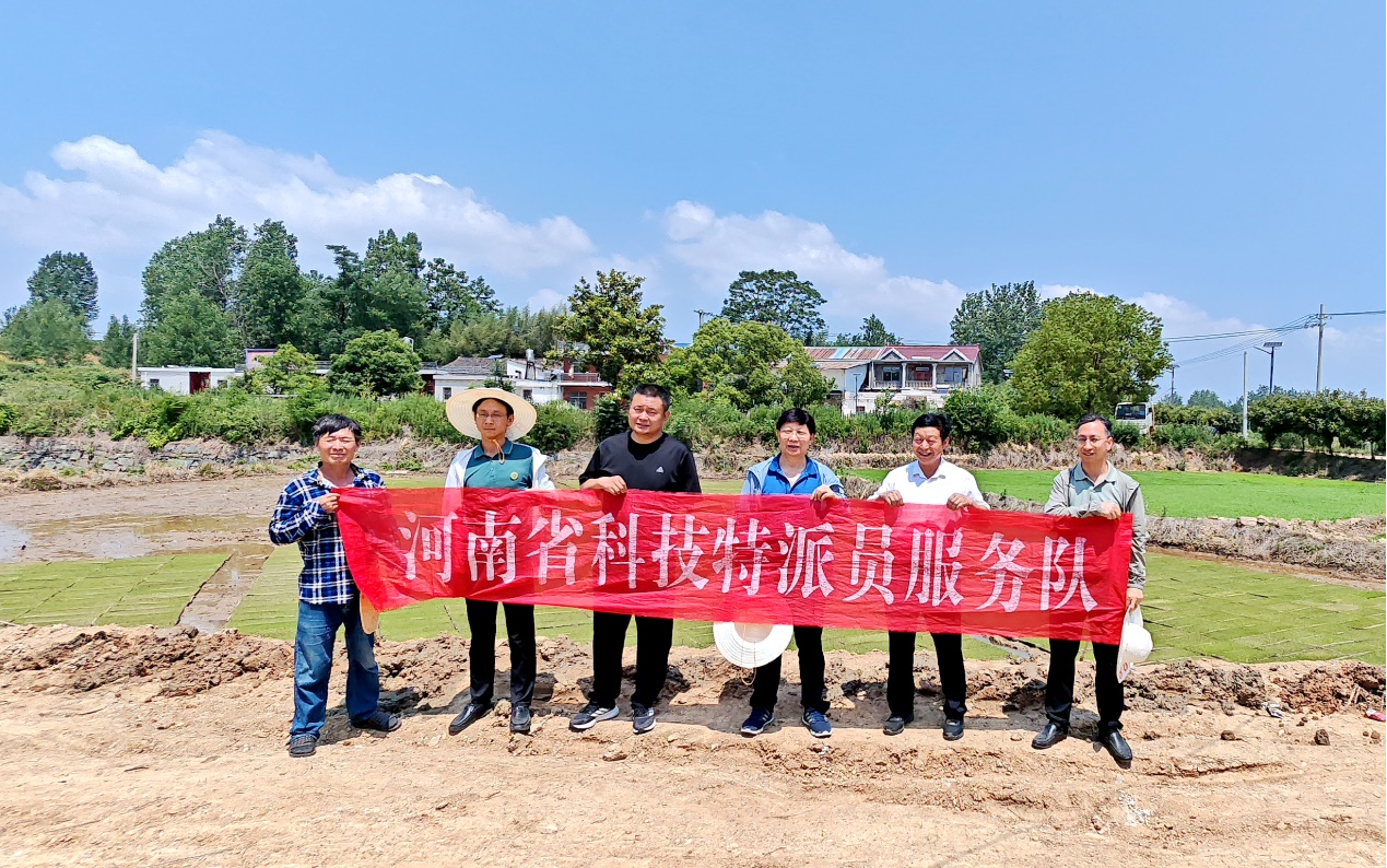 科技赋能“三夏”生产  河南省特派员田间送“良方”