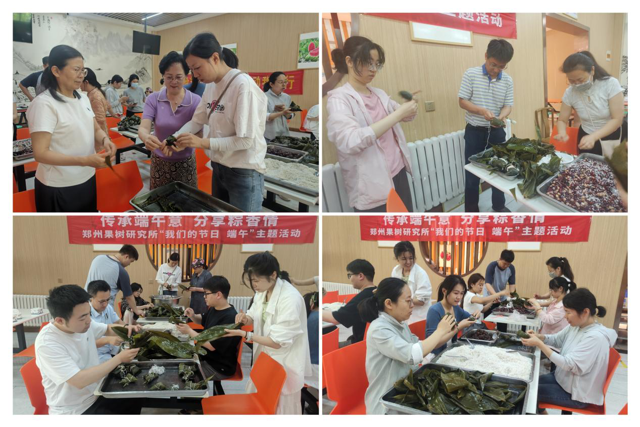 郑果所开展“我们的节日·端午”主题活动