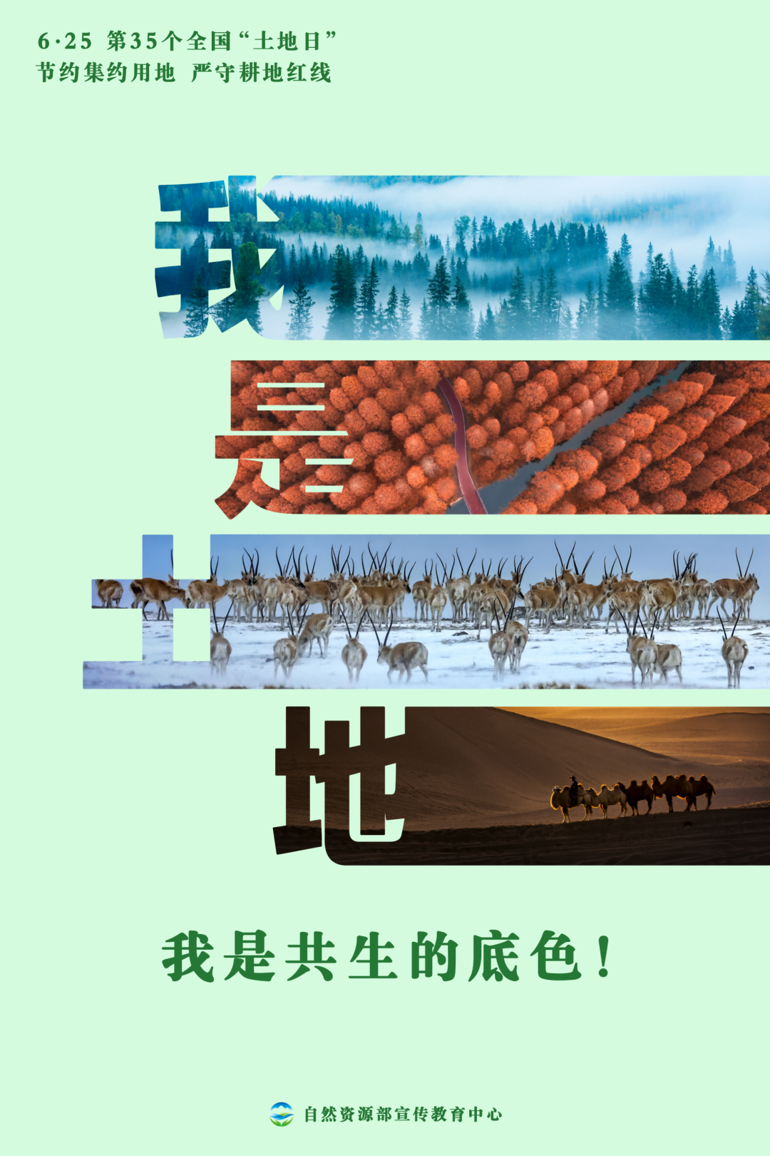 全国“土地日”多款海报上线