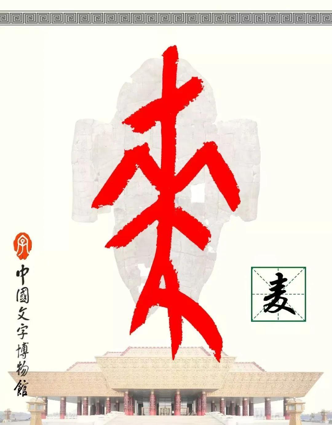 “宋陵麦收”一眼千年，像在历史书上劳作