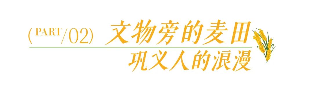 “宋陵麦收”一眼千年，像在历史书上劳作