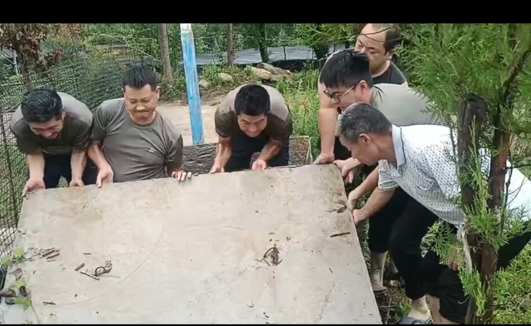 七一建党节  救灾显忠诚 宝天曼党员护林员挺身抗洪一线抢险救灾
