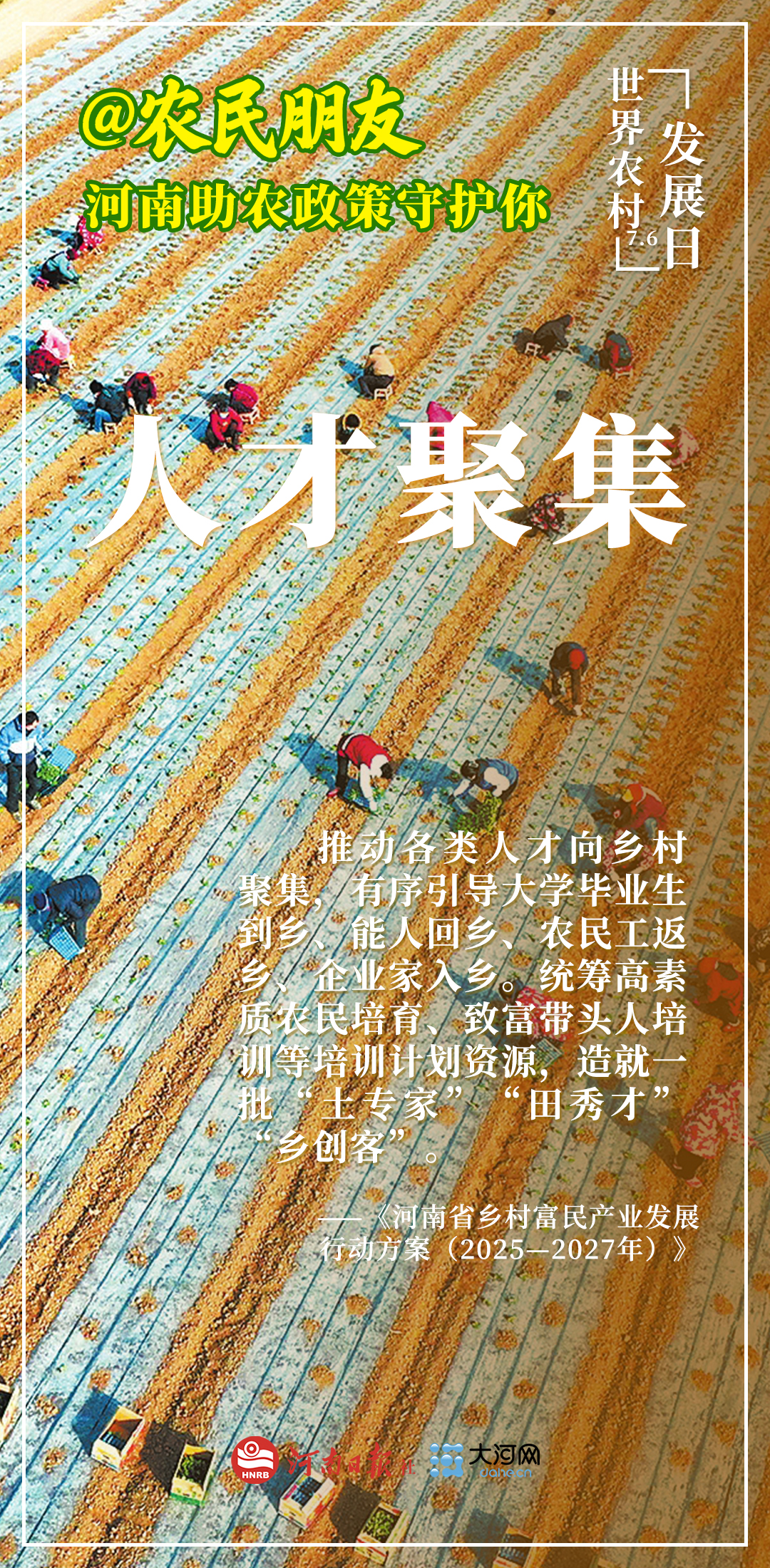 海報丨@農民朋友 河南助農政策守護你