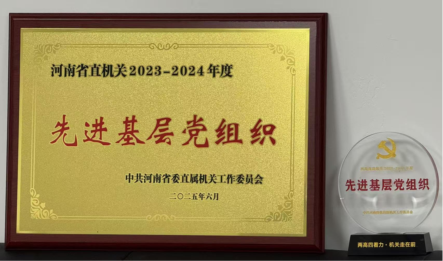 省政府投资项目代建中心党支部荣获“河南省直机关先进基层党组织”称号