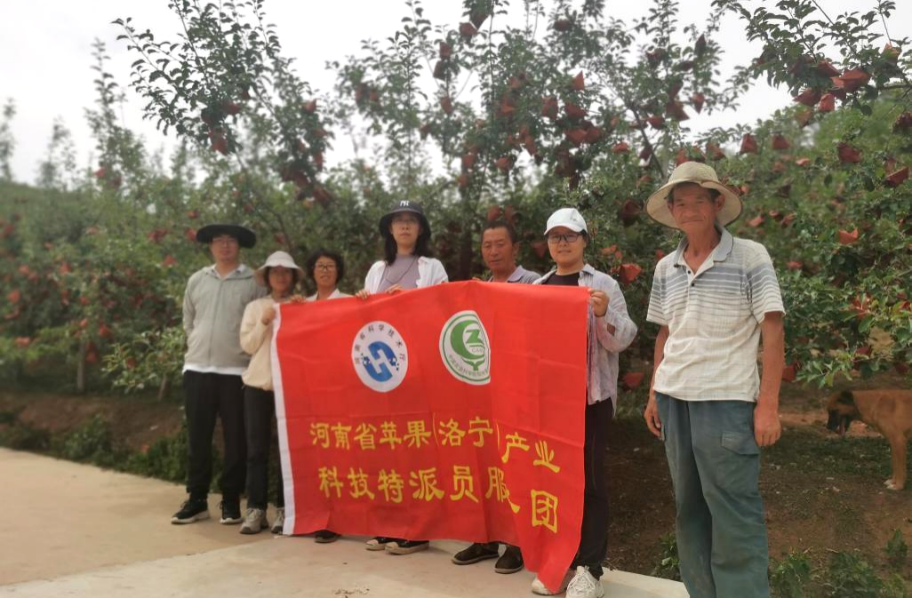 高温下的科技担当：河南省特派员为丰产护航