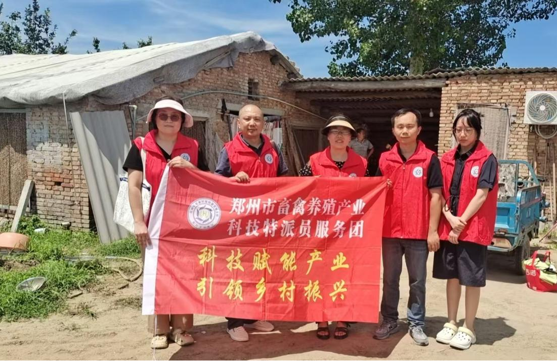 高温下的科技担当：河南省特派员为丰产护航