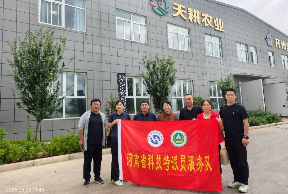 高温下的科技担当：河南省特派员为丰产护航