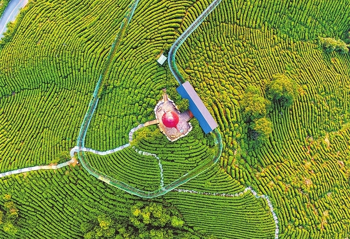 Experience tea culture in Xinyang