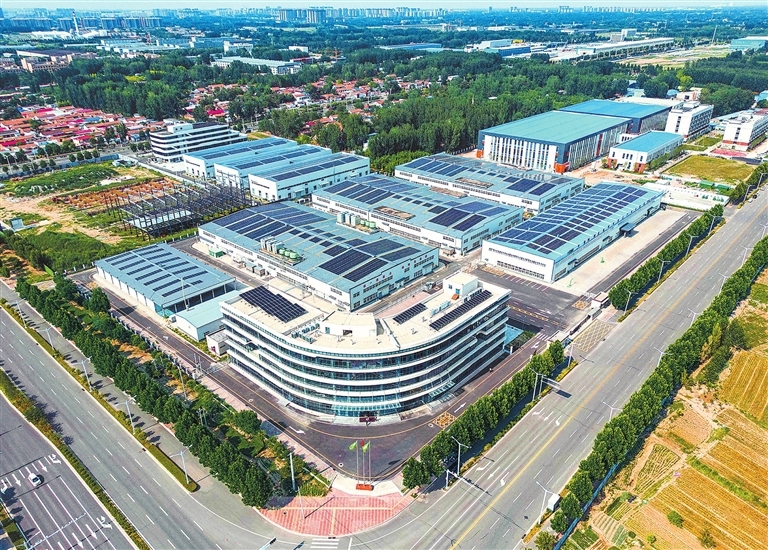 Coffee ambitions take flight in Puyang