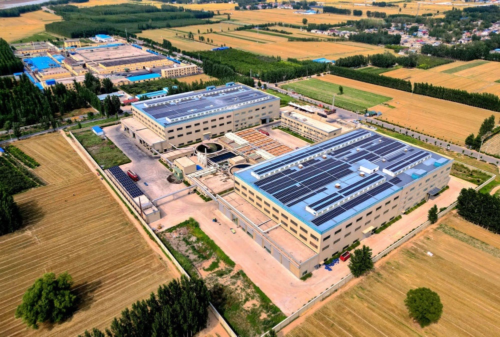 Henan's down feather industry thrives with global reach