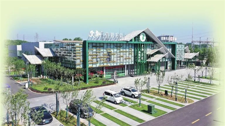 从300元地摊到近12亿品牌 信阳毛尖文新的逆袭太攒劲