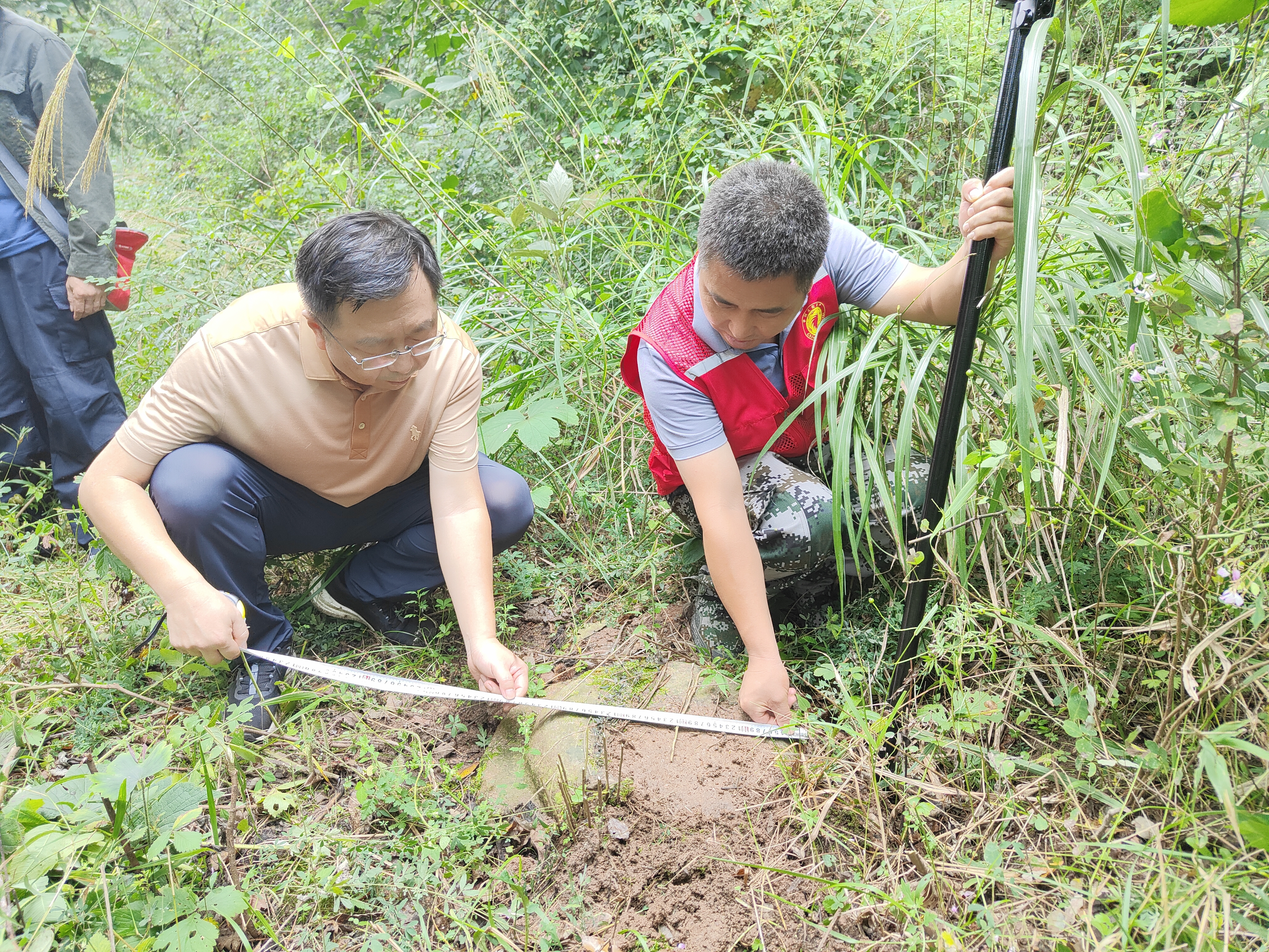 穿越荆棘，探寻历史之光：灵宝寺上村文物普查纪实