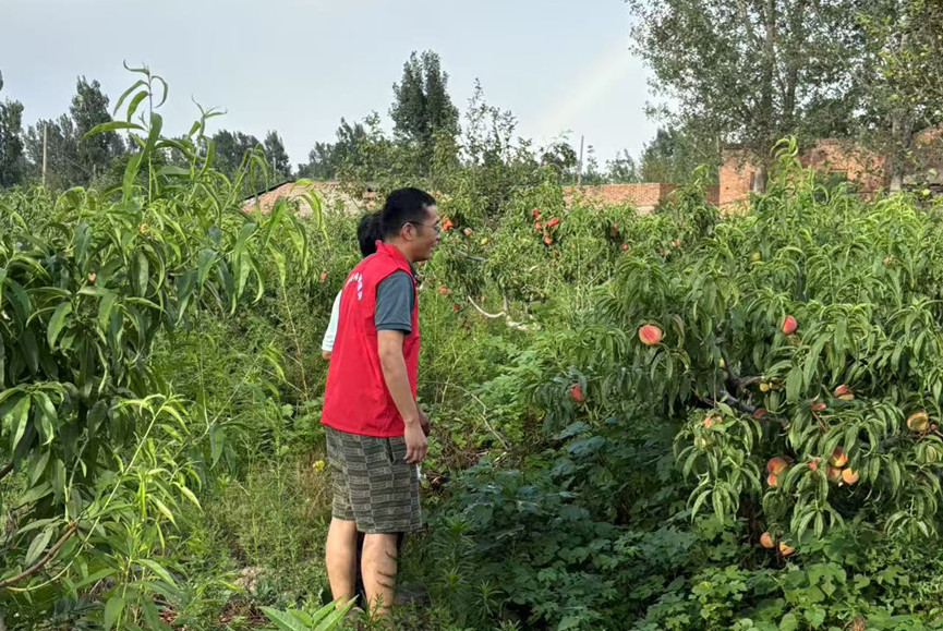 科技为蔬菜瓜果产业注入振兴动能