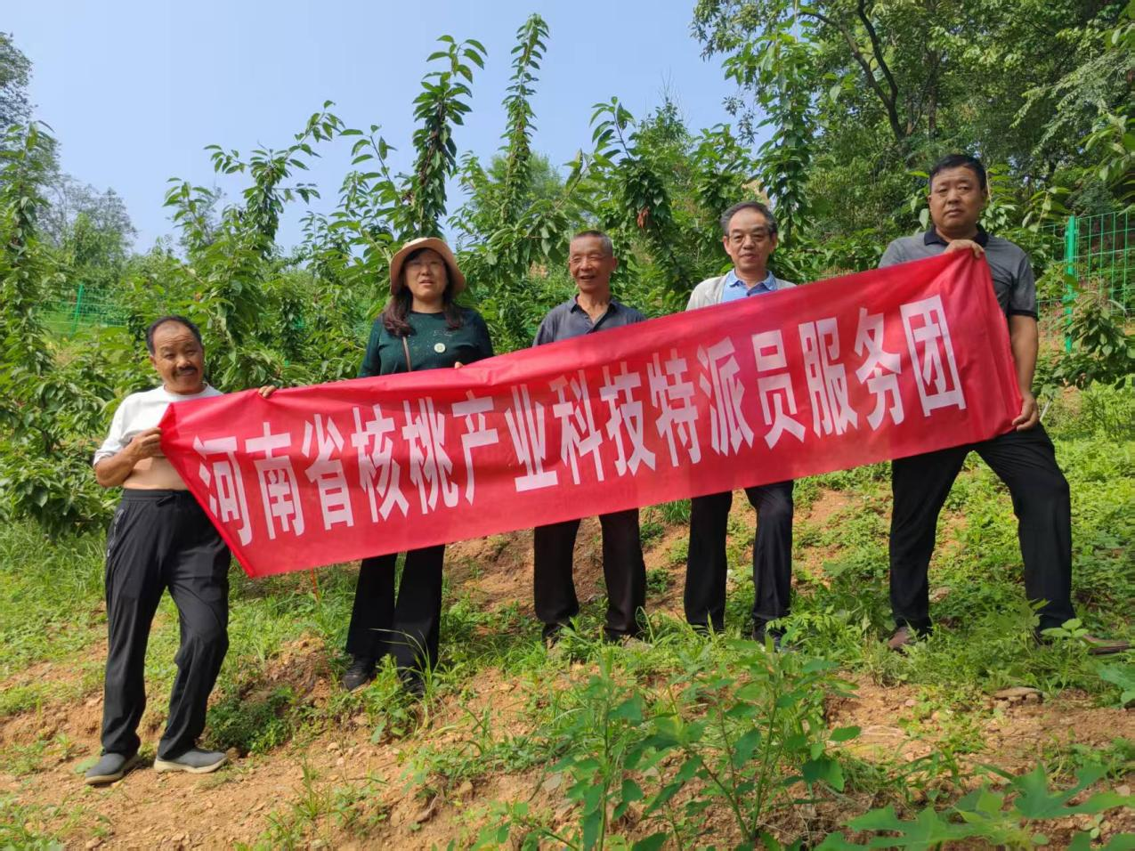 科技为蔬菜瓜果产业注入振兴动能