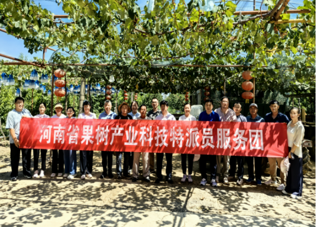 科技为蔬菜瓜果产业注入振兴动能