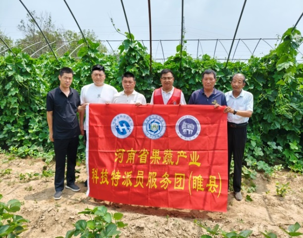 科技为蔬菜瓜果产业注入振兴动能
