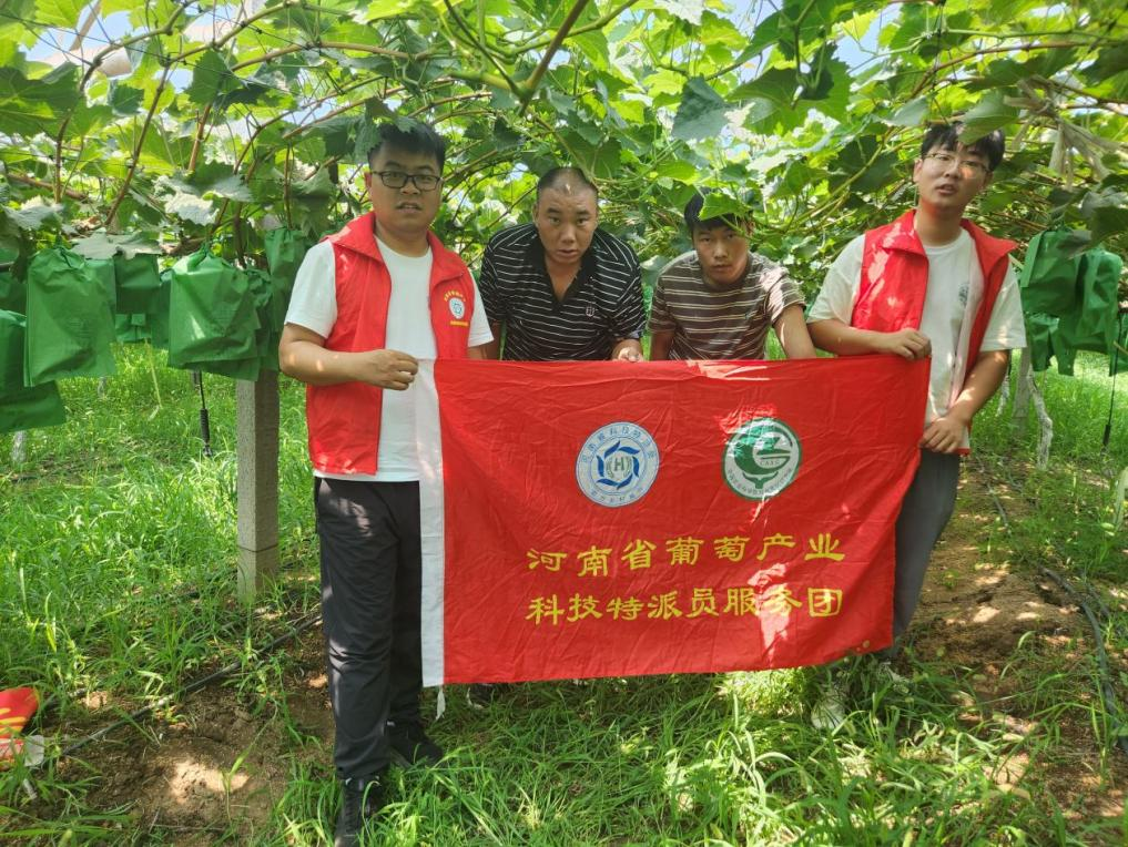 科技为蔬菜瓜果产业注入振兴动能