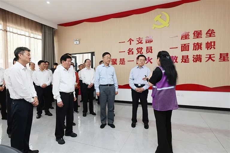 省委党建引领基层高效能治理工作现场会在漯河召开