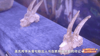今晚，全省大学生一同书写美丽河南“生态答卷”（内附回看方式）