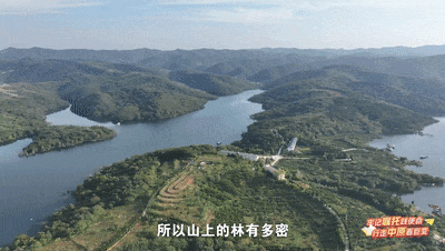 今晚，全省大学生一同书写美丽河南“生态答卷”（内附回看方式）